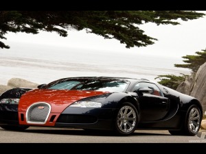 bugatti veyrons top speed